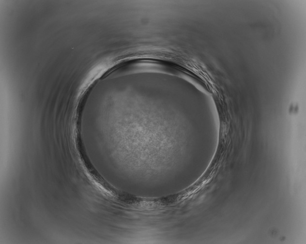 X0000091550101200708171313