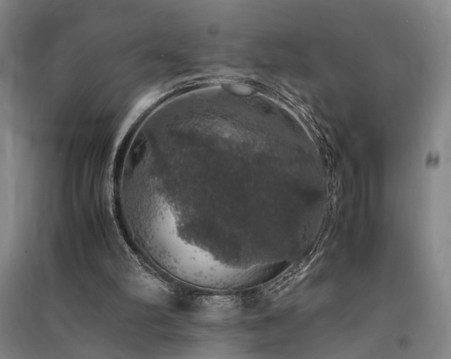 X0000091550102200708171313