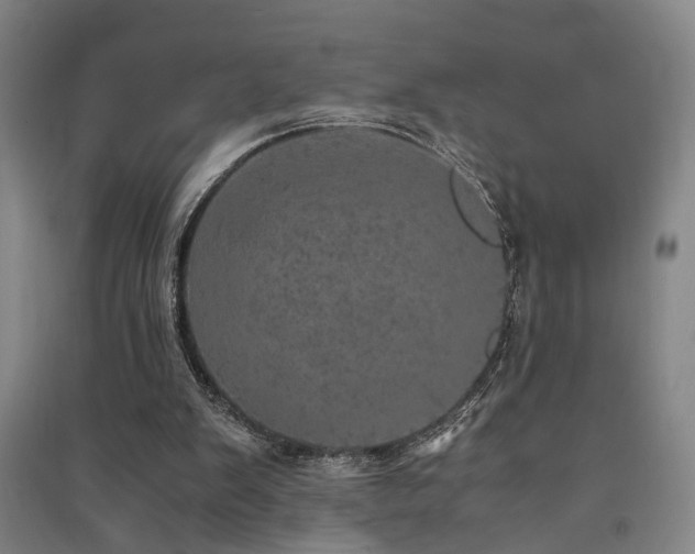 X0000091550103200708171313