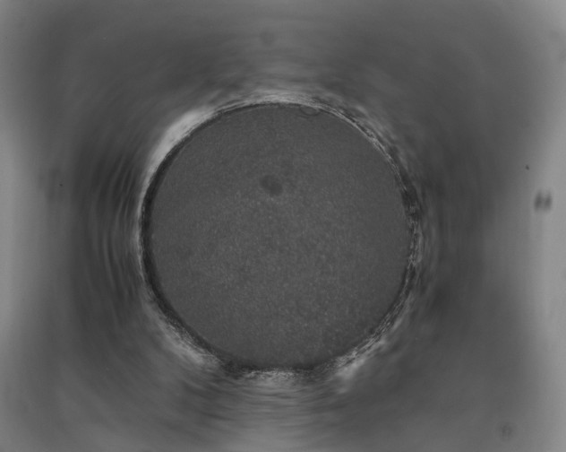 X0000091550104200708171313