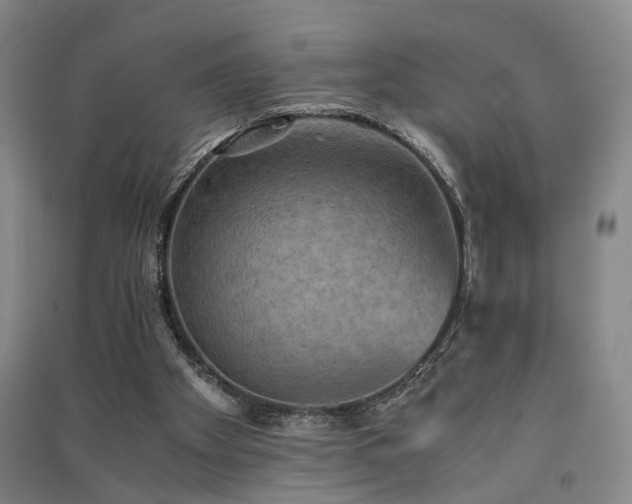 X0000091550105200708171313