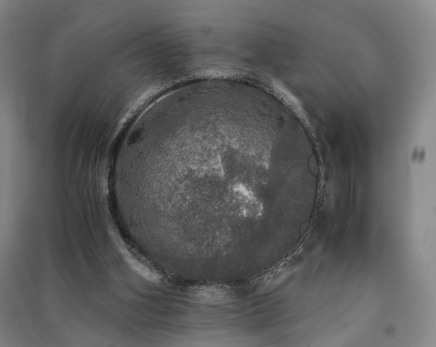 X0000091550106200708171313