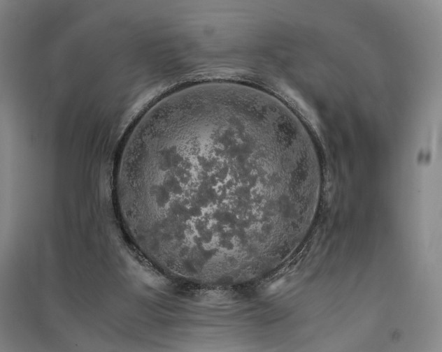 X0000091550107200708171313