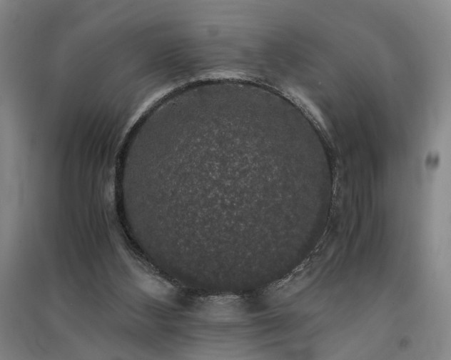 X0000091550108200708171313