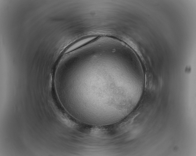 X0000091550109200708171313