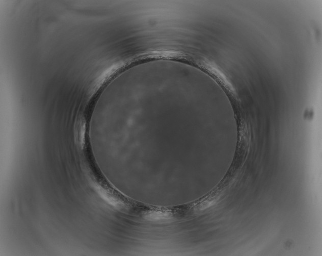 X0000091550110200708171313