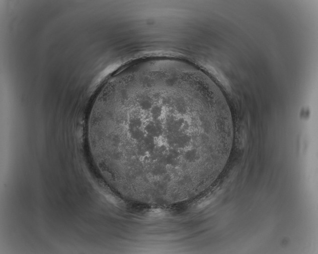 X0000091550111200708171313