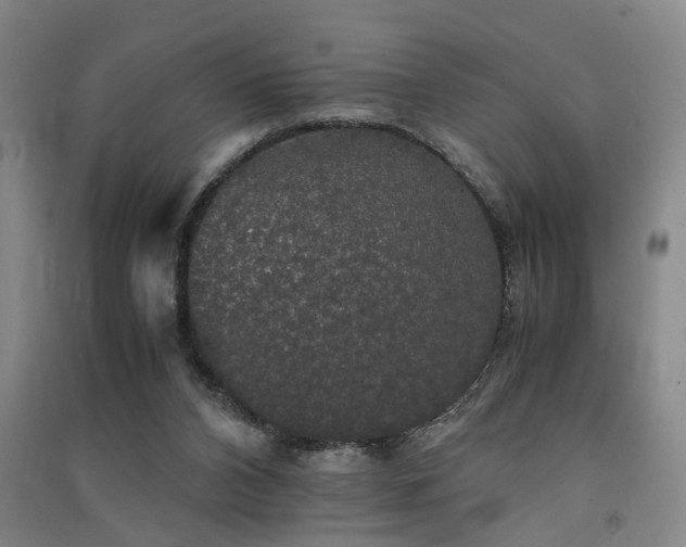 X0000091550112200708171313