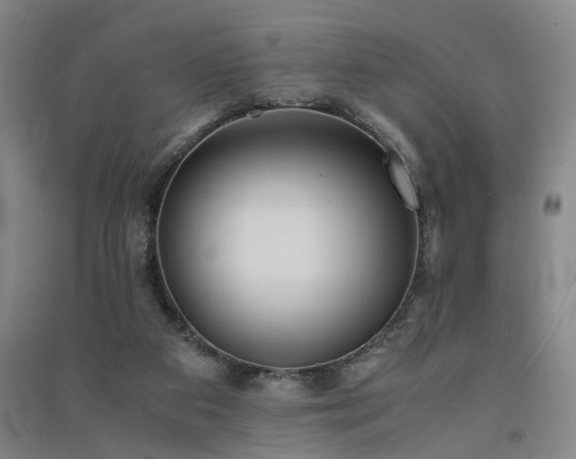 X0000091550113200708171313