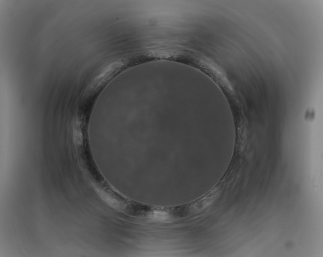 X0000091550114200708171313