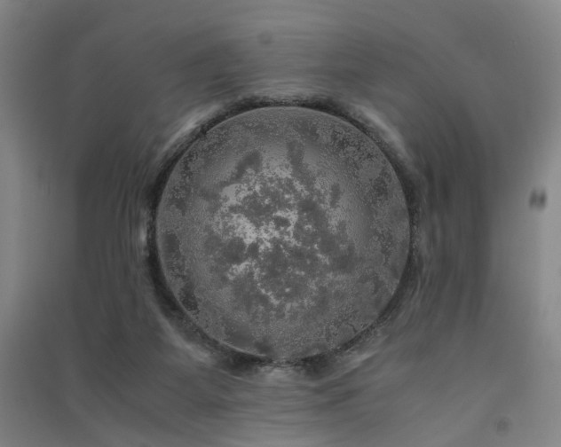 X0000091550115200708171313