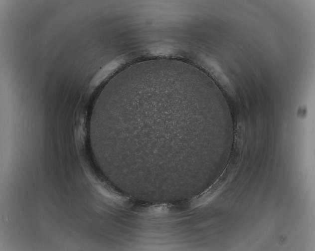 X0000091550116200708171313