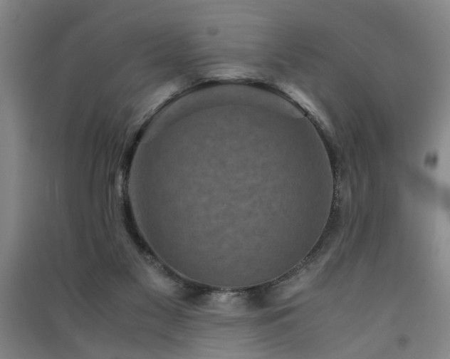 X0000091550117200708171313
