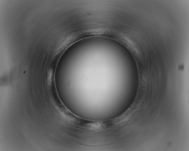 X0000091550118200708171313