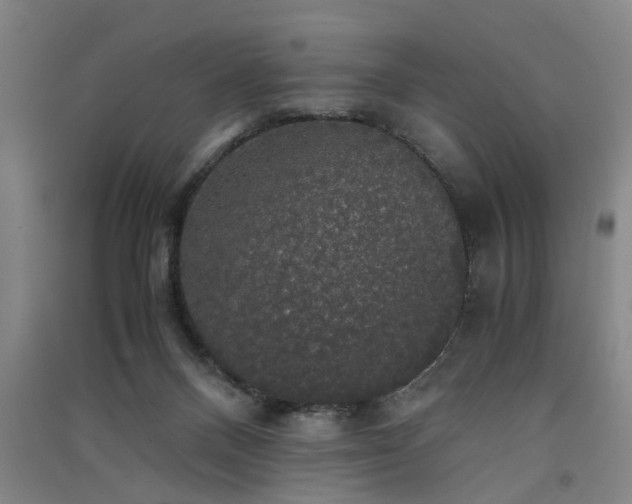 X0000091550120200708171313