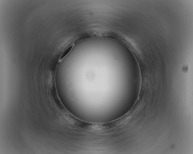 X0000091550121200708171313
