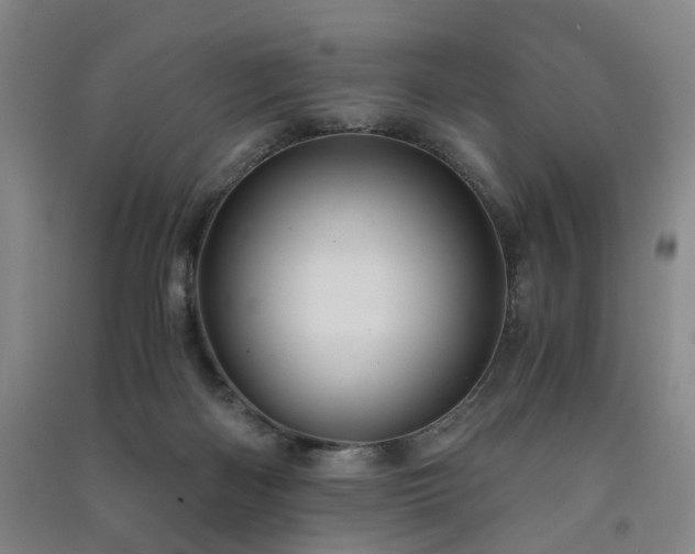 X0000091550122200708171313