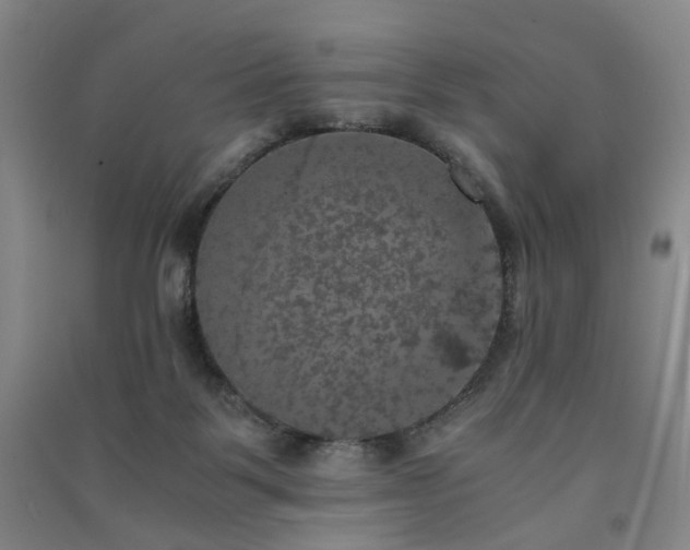 X0000091550123200708171313