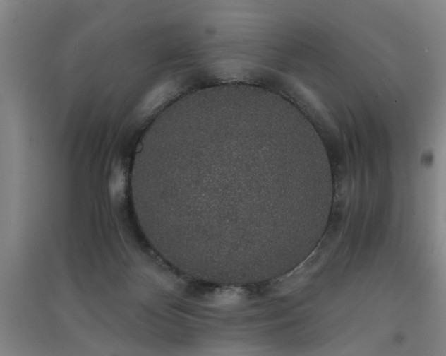 X0000091550124200708171313