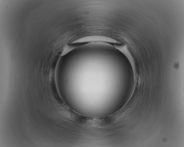 X0000091550125200708171313