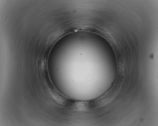 X0000091550126200708171313