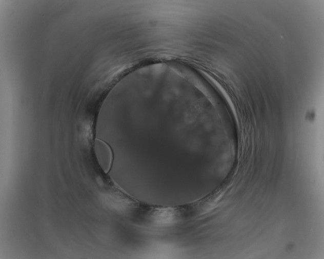 X0000091550127200708171313