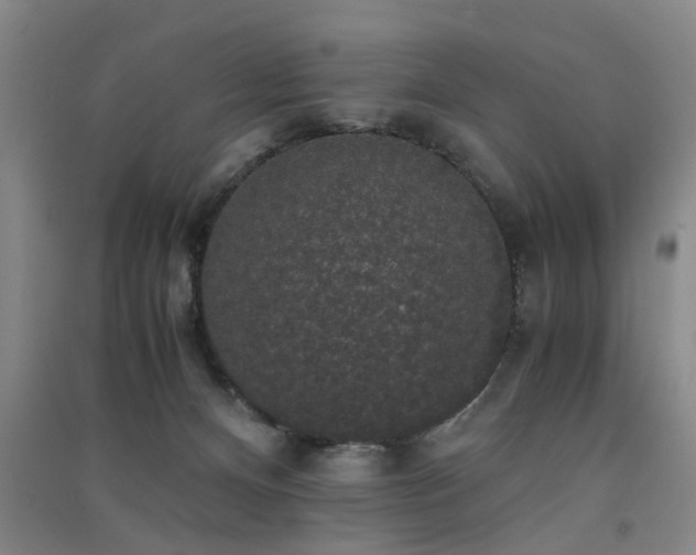 X0000091550128200708171313