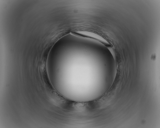 X0000091550129200708171313