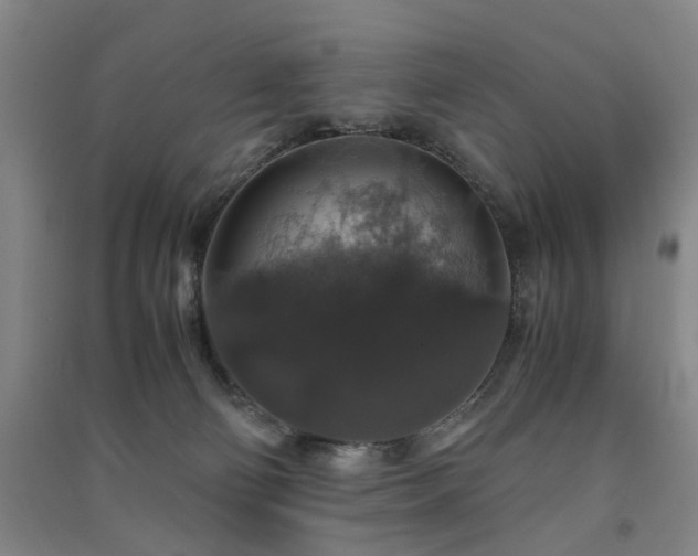 X0000091550130200708171313