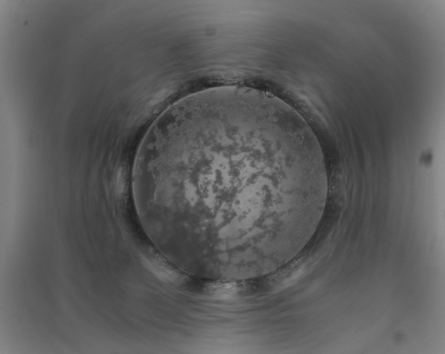 X0000091550131200708171313
