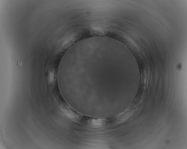 X0000091550134200708171313