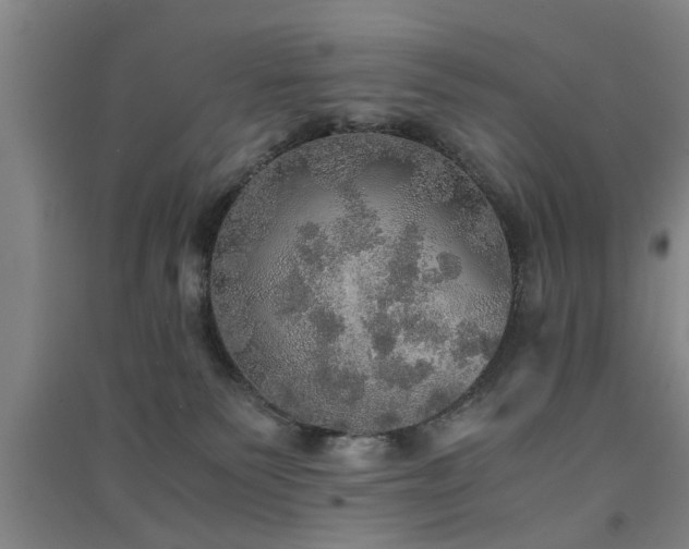 X0000091550135200708171313