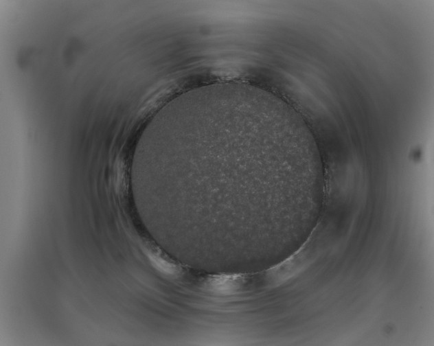 X0000091550136200708171313