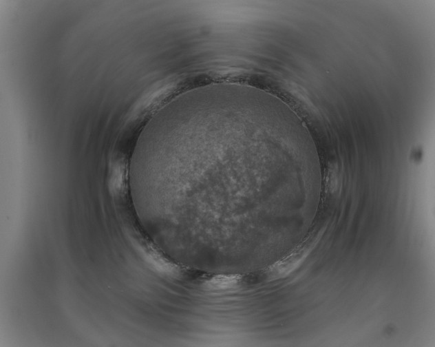 X0000091550138200708171313