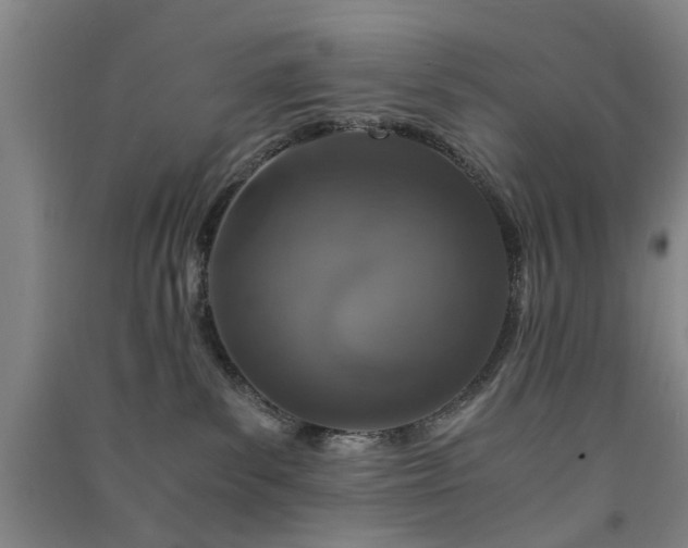X0000091550139200708171313