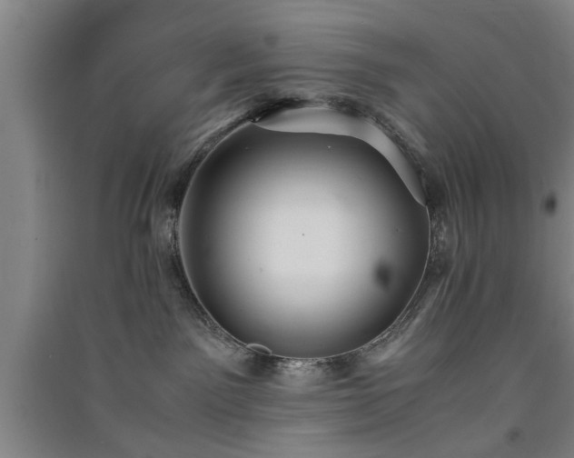 X0000091550141200708171313