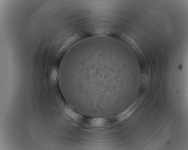 X0000091550142200708171313
