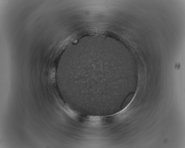 X0000091550144200708171313
