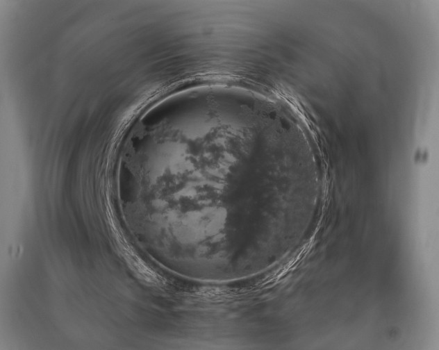 X0000091550145200708171312