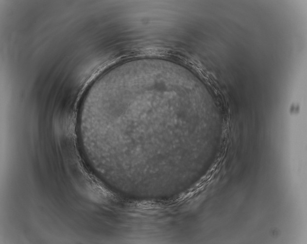 X0000091550146200708171312