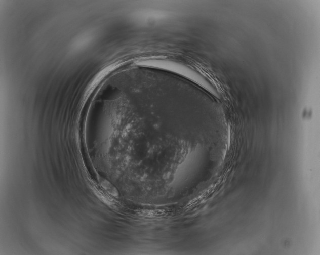 X0000091550147200708171312