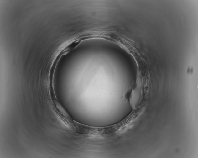 X0000091550148200708171312