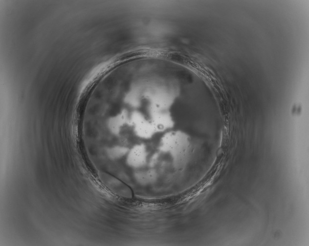 X0000091550149200708171312