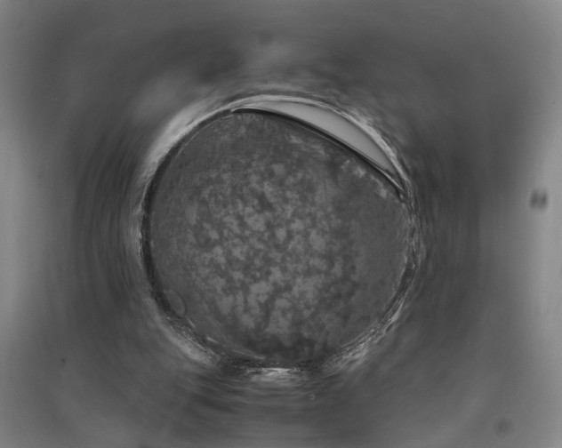 X0000091550151200708171312