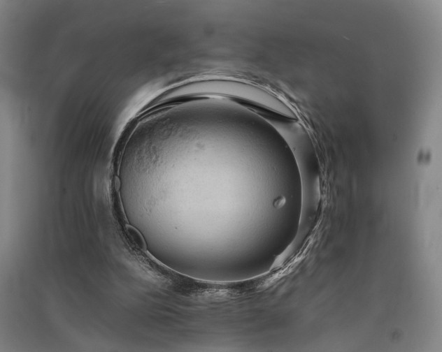 X0000091550152200708171312
