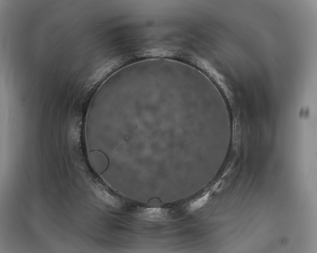X0000091550153200708171312