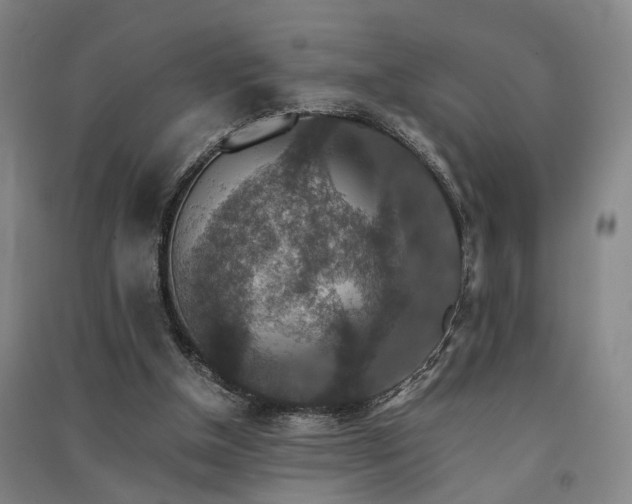 X0000091550154200708171312