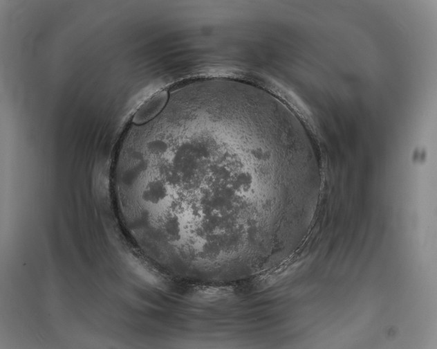 X0000091550155200708171312