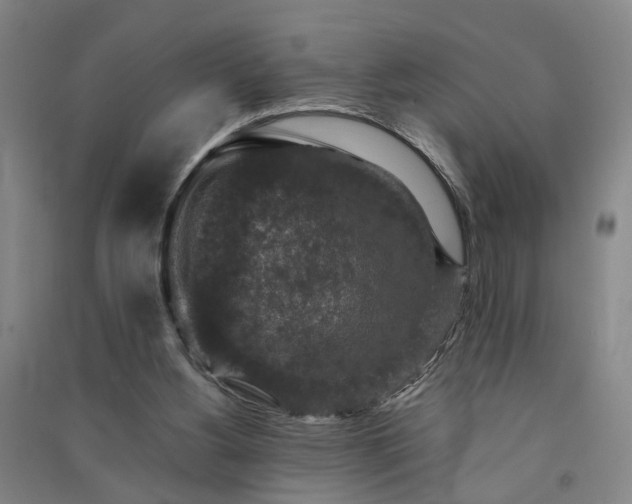 X0000091550156200708171312