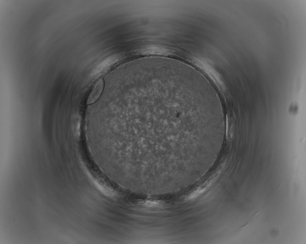 X0000091550157200708171312